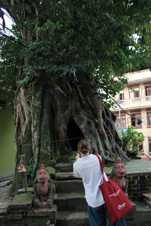  Participant Julia Shrestha observing green heritage in Kirtipur. Photo © Corinna Mascherin.