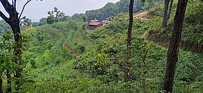 Mukundapur, local houses in the vicinity of the site.